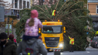TvLKstromliberec2 2020